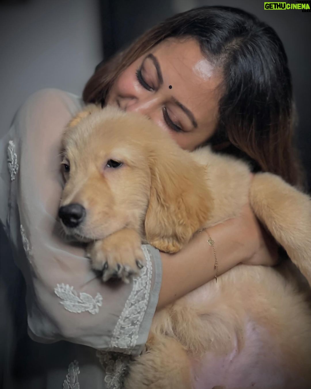 Tonni Laha Roy - 32.9K Likes - 🐾 🫶🐾
#paws
#love
#instadaily
#instagood
#dog
#dhunki #song
#goldenretriever
#pet
#instagram #instalike #instamood #instalove
#picoftheday #photography