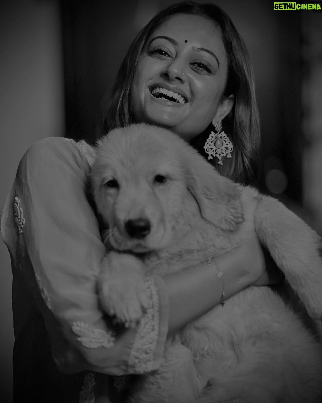Tonni Laha Roy - 32.9K Likes - 🐾 🫶🐾
#paws
#love
#instadaily
#instagood
#dog
#dhunki #song
#goldenretriever
#pet
#instagram #instalike #instamood #instalove
#picoftheday #photography