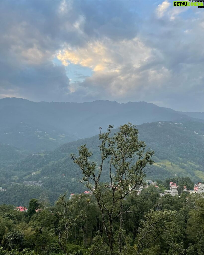 Tonni Laha Roy Instagram - Mind in the mountains ⛰️🕊️ #trip #takemetothemountains #mind #mountains #love #peace