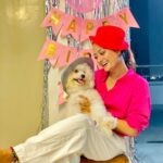 Tonni Laha Roy Instagram - 💕Happy BarkDay Cuppy🐾 😁 #cuppy #bishonfrise #loveyou #pet #dog #instagood #instadaily #instamood #photography #photooftheday