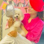 Tonni Laha Roy Instagram - 💕Happy BarkDay Cuppy🐾 😁 #cuppy #bishonfrise #loveyou #pet #dog #instagood #instadaily #instamood #photography #photooftheday