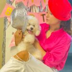 Tonni Laha Roy Instagram - 💕Happy BarkDay Cuppy🐾 😁 #cuppy #bishonfrise #loveyou #pet #dog #instagood #instadaily #instamood #photography #photooftheday