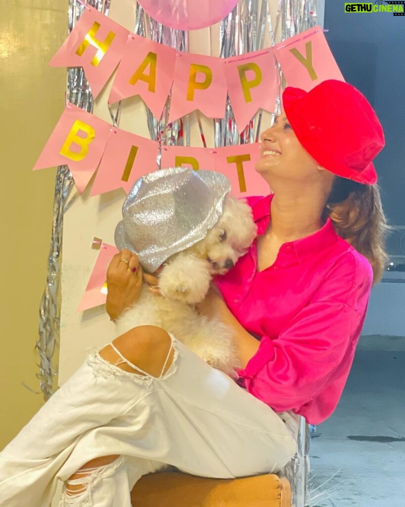 Tonni Laha Roy Instagram - 💕Happy BarkDay Cuppy🐾 😁 #cuppy #bishonfrise #loveyou #pet #dog #instagood #instadaily #instamood #photography #photooftheday