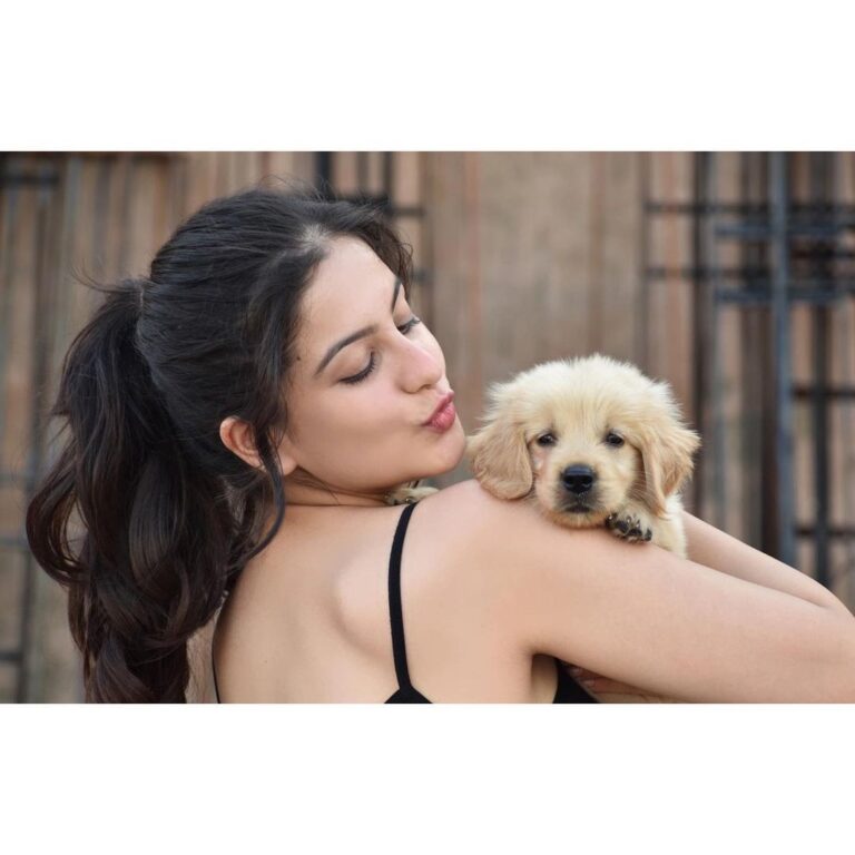 Tunisha Sharma Instagram - I’d like to introduce you to the newest, cutest, mischievous, and the most adorable member of our family, Tyson❤️🐾 Thanku @hervegagoals for capturing these moments✨📸