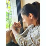 Tunisha Sharma Instagram - Maano billi🐱❤️ Billi and photo courtesy- @kanwardhilon 🤣