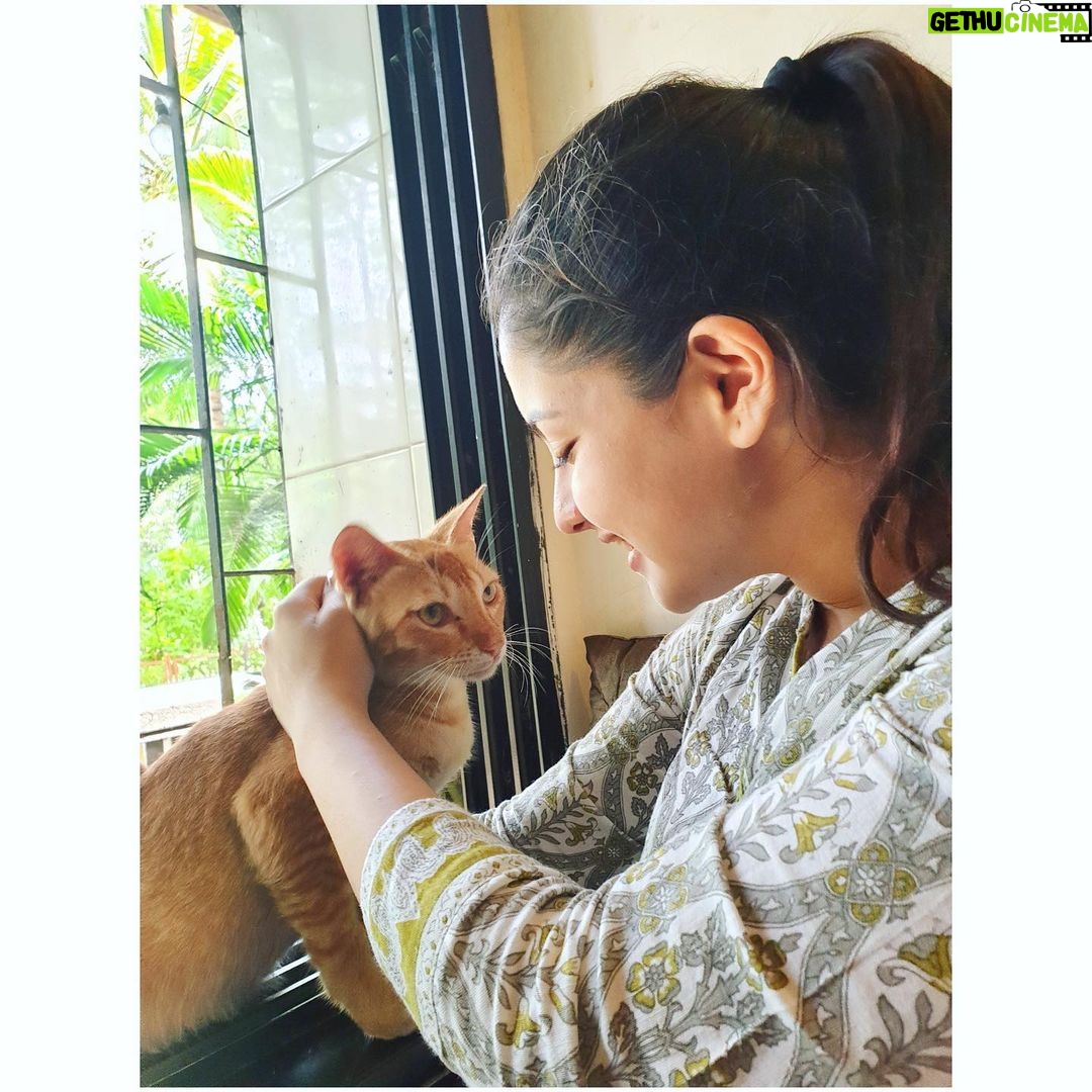 Tunisha Sharma Instagram - Maano billiš±ā¤ļø Billi and photo courtesy- @kanwardhilon š¤£
