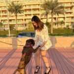 Tunisha Sharma Instagram - What’s up dog?🐾🤎