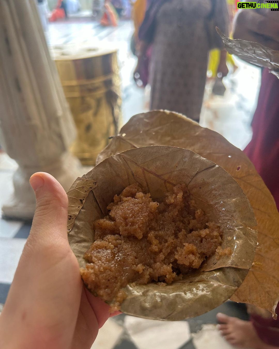 Urfi Javed Instagram - Waheguru Golden Temple Amritsar Punjab India