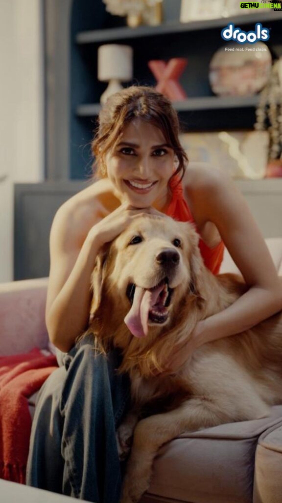 Vaani Kapoor Instagram - When dinner is so paw-some, you forget you’re on a date 🫣 🐾 Aaryan’s only got eyes for his one true love- Drools Daily Nutrition! Made with the goodness of 100% Real Chicken & Egg, it keeps him DROOLing for more 🐶 #droolsindia #dogs #date
