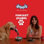 Vaani Kapoor Instagram - Aryan’s pawsome love story might just get a happy ending all thanks to Drools! Watch Episode 4 of the PAWCAST to find out!! ❤️🐾 #droolsindia #pawcast #dogs #doglovers #pets #love