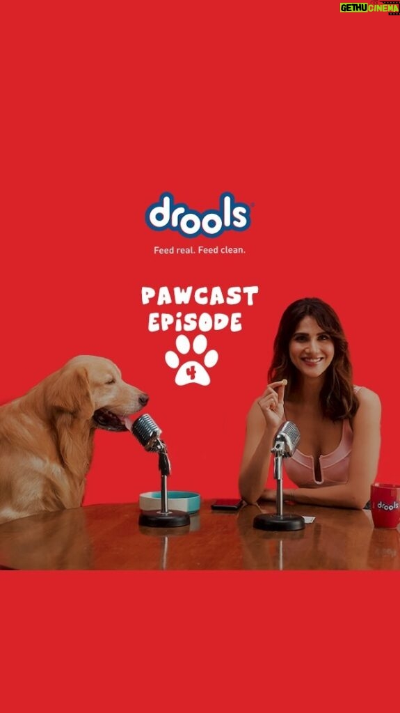 Vaani Kapoor Instagram - Aryan’s pawsome love story might just get a happy ending all thanks to Drools! Watch Episode 4 of the PAWCAST to find out!! ❤🐾 #droolsindia #pawcast #dogs #doglovers #pets #love