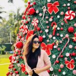 Vaidehi Parashurami Instagram - Merry Christmas! 🎄 #christmas #christmasdecor #christmastree #festivevibes #winterfeels #happywinter