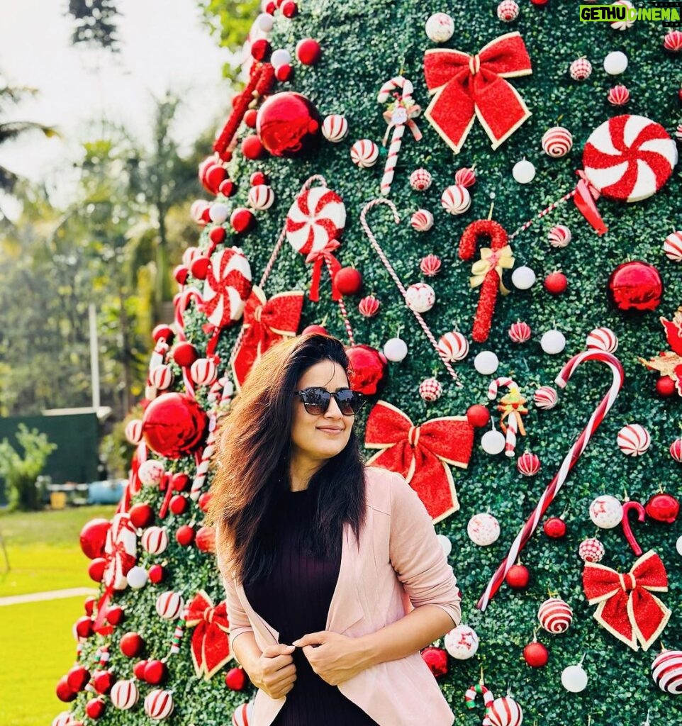 Vaidehi Parashurami Instagram - Merry Christmas! 🎄 #christmas #christmasdecor #christmastree #festivevibes #winterfeels #happywinter