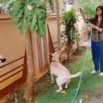 Veena Jagtap Instagram - 💕 Peahu 💕