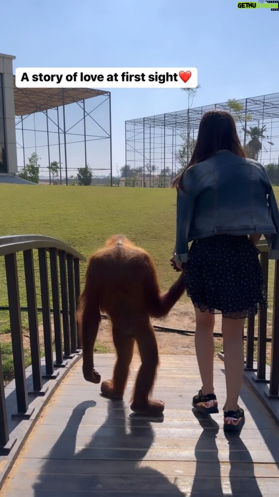 Vinali Bhatnagar Instagram - Only if someone looked at me like Hanouba did🥺. . . @thezoopark . . #animallove #loveit #nature #creature #dubai #orangutan