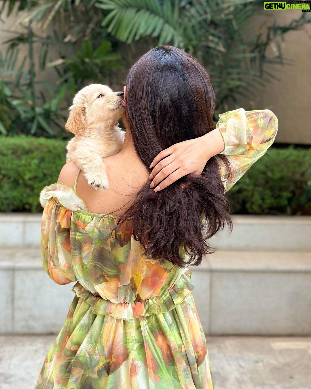 Vinali Bhatnagar Instagram - Guess who was my valentine this year? Welcoming Pogo to the fam💚 Got this kid home 18days back and since then it has been all stars and glitters! As they say, #blessed!✨ . . . . #puppy #fam #love #instanew #lights #life