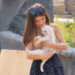 Vinali Bhatnagar Instagram - While holding this little one, didn’t realise life had a surprise for me!❤️ Revealing soon!❤️ . . . . #love #doggo #light #instagram #instait #cute