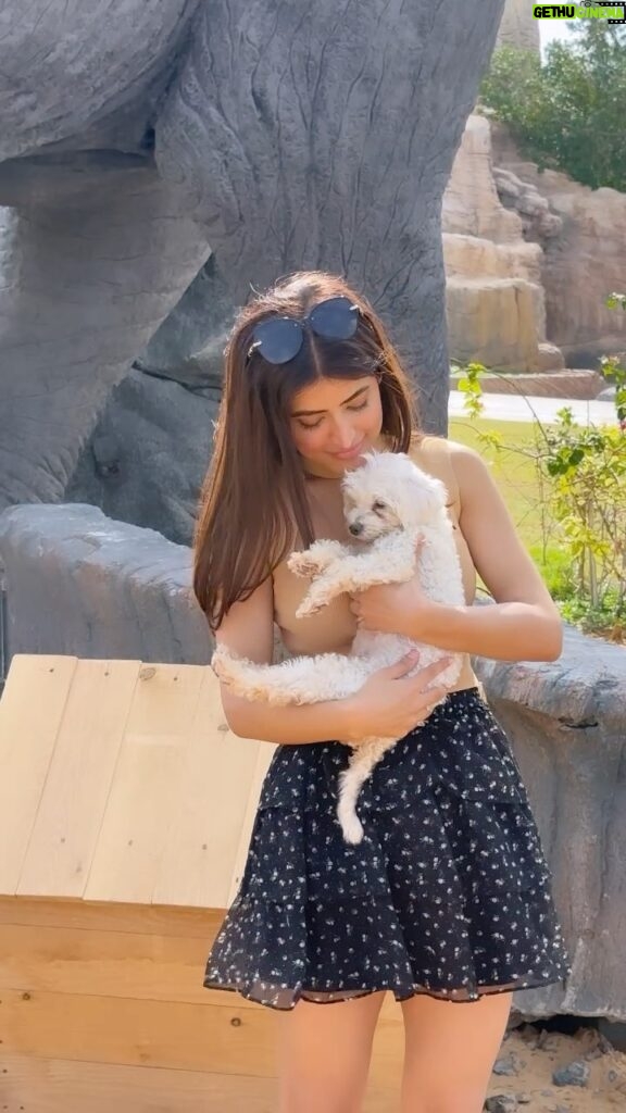 Vinali Bhatnagar Instagram - While holding this little one, didn’t realise life had a surprise for me!❤️ Revealing soon!❤️ . . . . #love #doggo #light #instagram #instait #cute