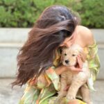 Vinali Bhatnagar Instagram - Guess who was my valentine this year? Welcoming Pogo to the fam💚 Got this kid home 18days back and since then it has been all stars and glitters! As they say, #blessed!✨ . . . . #puppy #fam #love #instanew #lights #life