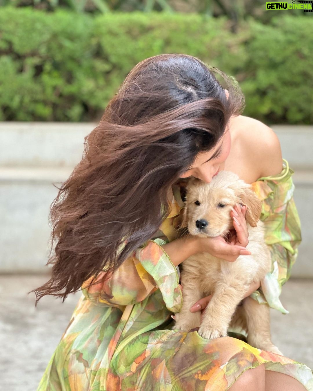Vinali Bhatnagar Instagram - Guess who was my valentine this year? Welcoming Pogo to the fam💚 Got this kid home 18days back and since then it has been all stars and glitters! As they say, #blessed!✨ . . . . #puppy #fam #love #instanew #lights #life