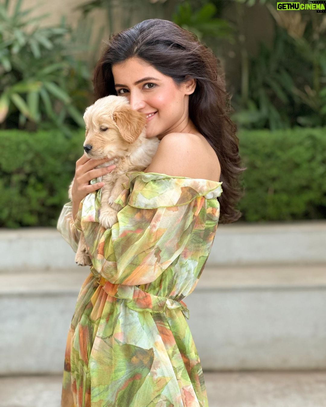 Vinali Bhatnagar Instagram - Guess who was my valentine this year? Welcoming Pogo to the fam💚 Got this kid home 18days back and since then it has been all stars and glitters! As they say, #blessed!✨ . . . . #puppy #fam #love #instanew #lights #life
