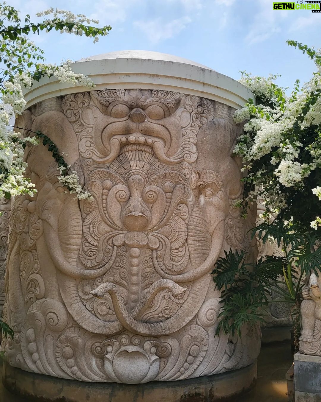 Vishnupriyaa bhimeneni Instagram - π π π π¦π¦π¦β¨οΈβ¨οΈπππ₯π₯πππππ«Άπ«Άπ«Άπ«Άπ«Άπ«Άπ«Άπ«Άπ«Άπππππππππππ§‘π§‘π§‘πππππππ§Ώ Thankyou for all the sunshine dear universe π₯°ππ #vishnupriyabhimeneni #onvacaymodeπ #summerholidays #natureretreat #kerala #grateful #foreverhappykid Taj Bekal Resort & Spa, Kerala