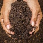 Vishnupriyaa bhimeneni Instagram – Soil degradation is real and we cannot stay blind to it anymore. We are what we eat and everything that sustains us comes from the soil. Let’s support @sadhguru as he starts his epic bike ride across 27 countries to #SaveSoil. #ConsciousPlanet @consciousplanet

#vishnupriyabhimeneni #conciousliving #ConsciousPlanet #sadhguru #savesoil #motherearth #Bhumi #mylove #Mypassion #tosavesoil