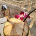 Vishnupriyaa bhimeneni Instagram - We slurped as many coconuts as possible... 😍 The Thai coconut water is the sweeeeeeetesttt 😋😋😋😋🥰🥰🤩🤩🤩🤩🥥🥥🥥🥥🥥🥥🥥 Thankyou mother thai for sweetest coconuts 😆😝🥰🤗 #VISHNUPRIYABHIMENENI #rithuchowdary #Vacation#slurpingcoconuts #walkingonroads #beingjustbeverse #chillaxing #living #laughing #loving 💗 Thailand