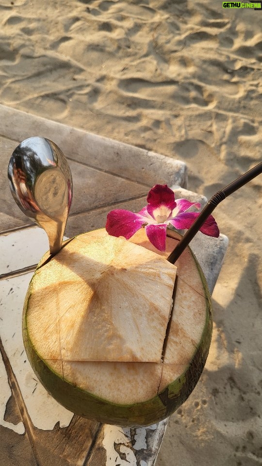 Vishnupriyaa bhimeneni Instagram - We slurped as many coconuts as possible... 😍 The Thai coconut water is the sweeeeeeetesttt 😋😋😋😋🥰🥰🤩🤩🤩🤩🥥🥥🥥🥥🥥🥥🥥 Thankyou mother thai for sweetest coconuts 😆😝🥰🤗 #VISHNUPRIYABHIMENENI #rithuchowdary #Vacation#slurpingcoconuts #walkingonroads #beingjustbeverse #chillaxing #living #laughing #loving 💗 Thailand