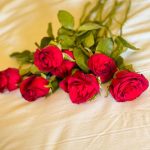 Vishnupriya sainath pathade patil Instagram - Ajji sunte ho 🗣️. Happy Rose Day 😘🌹 #saipriya #vishaarmy #roseday #valentineweek