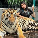 Vishwa Rathod Instagram - Have you ever seen a real tiger..? (Chhoti Bachi Ho kya) 🐯🐯 #ootd #pictureoftheday #potd #tattoo #tattoos #tattoogirl #ethnicwear #piercing #piercings #nature #bepositive #thinkpositive #staystrong #stayhappy #loveyourself #nevish #wisharmy🖤 #instagood #trending #smile #happyme #viral #instafamily #picoftheday #instagram #creator Tiger Park Thailand