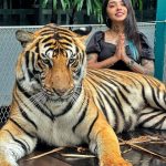 Vishwa Rathod Instagram - Have you ever seen a real tiger..? (Chhoti Bachi Ho kya) 🐯🐯 #ootd #pictureoftheday #potd #tattoo #tattoos #tattoogirl #ethnicwear #piercing #piercings #nature #bepositive #thinkpositive #staystrong #stayhappy #loveyourself #nevish #wisharmy🖤 #instagood #trending #smile #happyme #viral #instafamily #picoftheday #instagram #creator Tiger Park Thailand