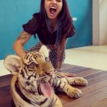 Vishwa Rathod Instagram - Have you ever seen a real tiger..? (Chhoti Bachi Ho kya) 🐯🐯 #ootd #pictureoftheday #potd #tattoo #tattoos #tattoogirl #ethnicwear #piercing #piercings #nature #bepositive #thinkpositive #staystrong #stayhappy #loveyourself #nevish #wisharmy🖤 #instagood #trending #smile #happyme #viral #instafamily #picoftheday #instagram #creator Tiger Park Thailand