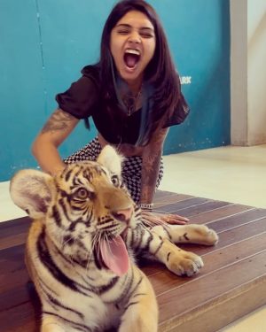 Vishwa Rathod Instagram - Have you ever seen a real tiger..? (Chhoti Bachi Ho kya) 🐯🐯 

#ootd #pictureoftheday #potd #tattoo #tattoos #tattoogirl #ethnicwear #piercing #piercings #nature #bepositive #thinkpositive #staystrong #stayhappy #loveyourself #nevish #wisharmy🖤 #instagood #trending #smile #happyme #viral #instafamily #picoftheday #instagram #creator