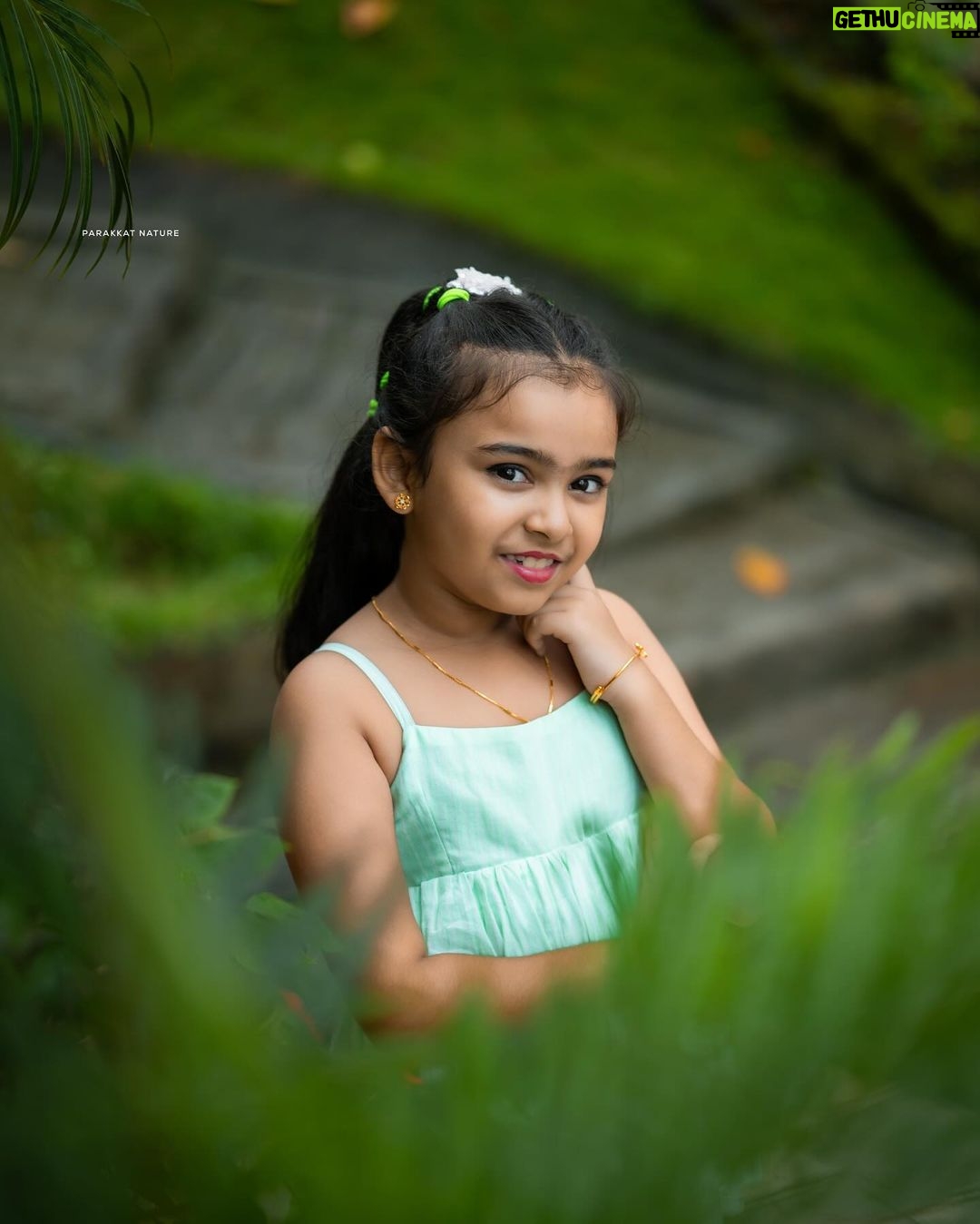 Vriddhi Vishal Instagram - ❤️❤️❤️ 📸 @amal.nef Outfit @magizham_kids Location @parakkatnatureresortmunnar #outfit #vriddhi #vriddhivishal #fashionmodel #kids #childinfluencer #childartist #vriddhivishal Parakkat Nature Resorts