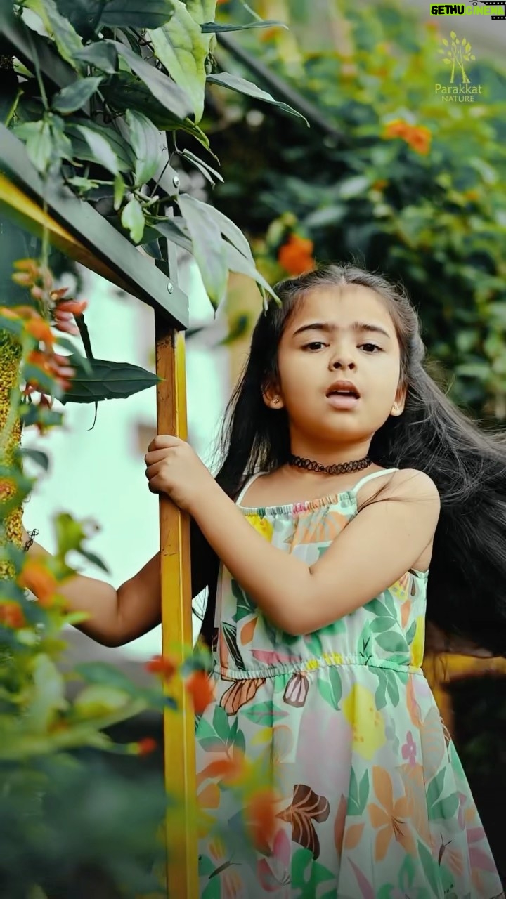 Vriddhi Vishal Instagram - Rosemilk vangi tharenda ❤️ 🎥 @amal.nef Location @parakkatnatureresortmunnar @abhishek_parakkat_ @prakash_parakkat #vijay #samantha #tamil #reels #instagood #instagram #reelsinstagram #cinema #baby #artist #viral # @joshapp.malayalam @officialjoshapp Parakkat Nature Resorts