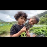 Vriddhi Vishal Instagram - watch full video on YouTube Channel link in bio Dancing family pls subscribe dear friends ❤️ #dancingfamily #vriddhivishal #vriddhifamily #familyvlog #trevelvlogs #vattavada #❤️