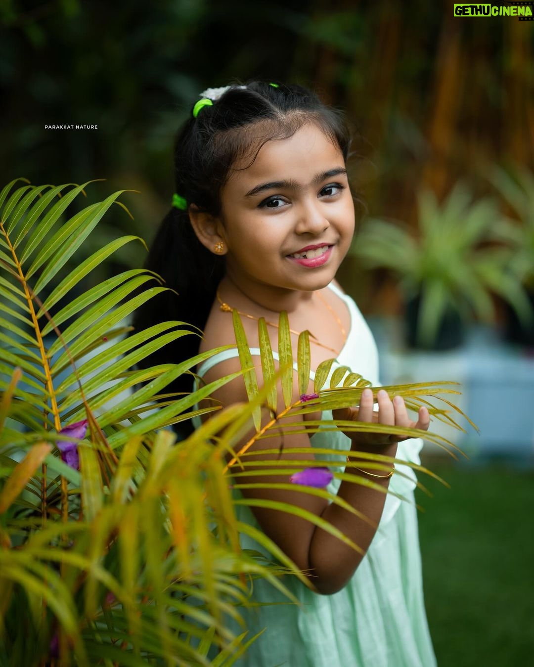 Vriddhi Vishal Instagram - ❤️❤️❤️ 📸 @amal.nef Outfit @magizham_kids Location @parakkatnatureresortmunnar #outfit #vriddhi #vriddhivishal #fashionmodel #kids #childinfluencer #childartist #vriddhivishal Parakkat Nature Resorts