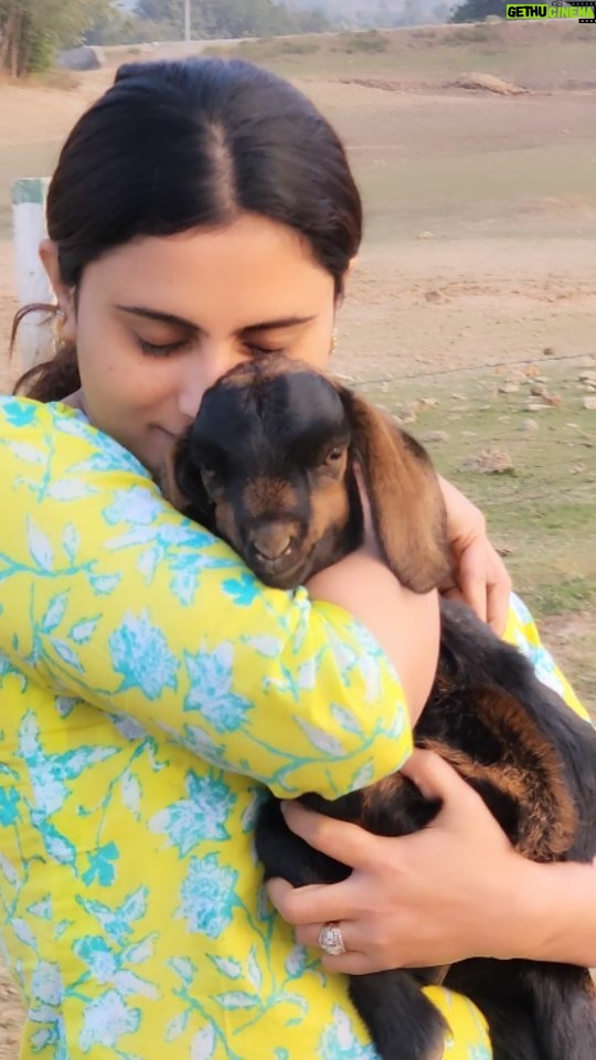 Zeel Joshi Instagram - Kaiso Ho Doston ? 😄 . . . . . @zeel_joshii #zeeljoshi #cute #singer #actress #instagood #viralreels #trendingreels