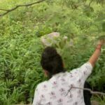 Zeel Joshi Instagram - વધુ વ્લોગ વિડિયો જોવા માટે મારી ચેનલ “ Bavri Films & Vlog “ ને સબ્સ્ક્રાઇબ કરો . ☺️😍 #newsong #outnow ♥️ . . . . . @zeel_joshii #zeeljoshi #minivlog #dailyvlog #vlog #vlogers
