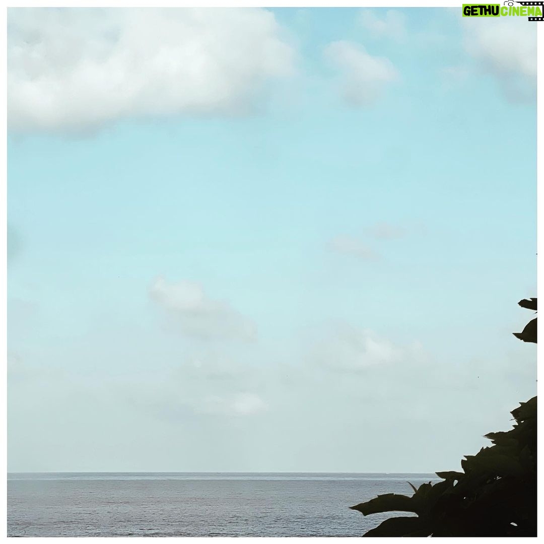 Zoya Akhtar Instagram - Home #summer #mumbai #bringmethehorizon
