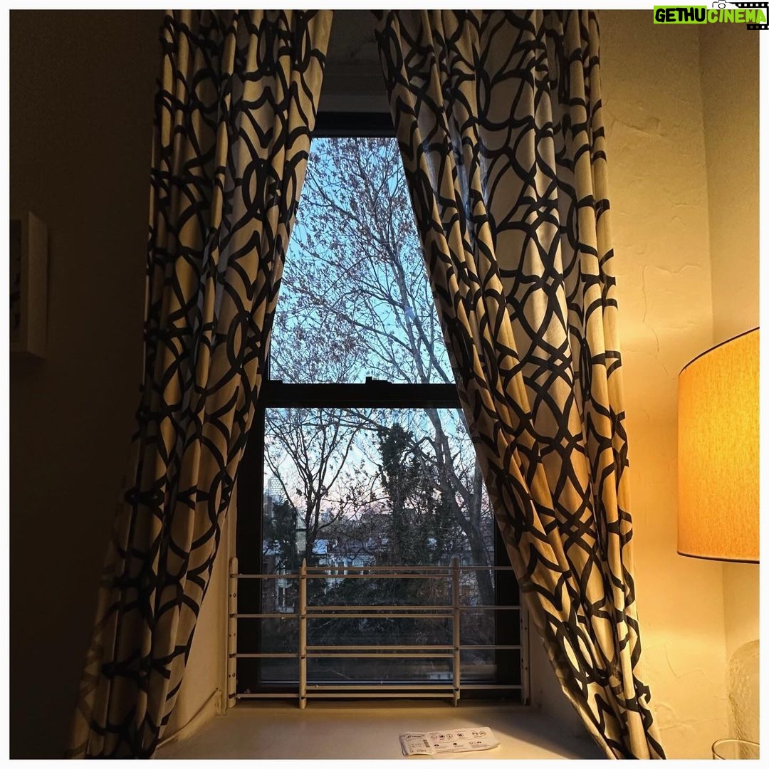 Zoya Akhtar Instagram - Major Missing #morning #brooklyn #itsanewdawnitsanewday