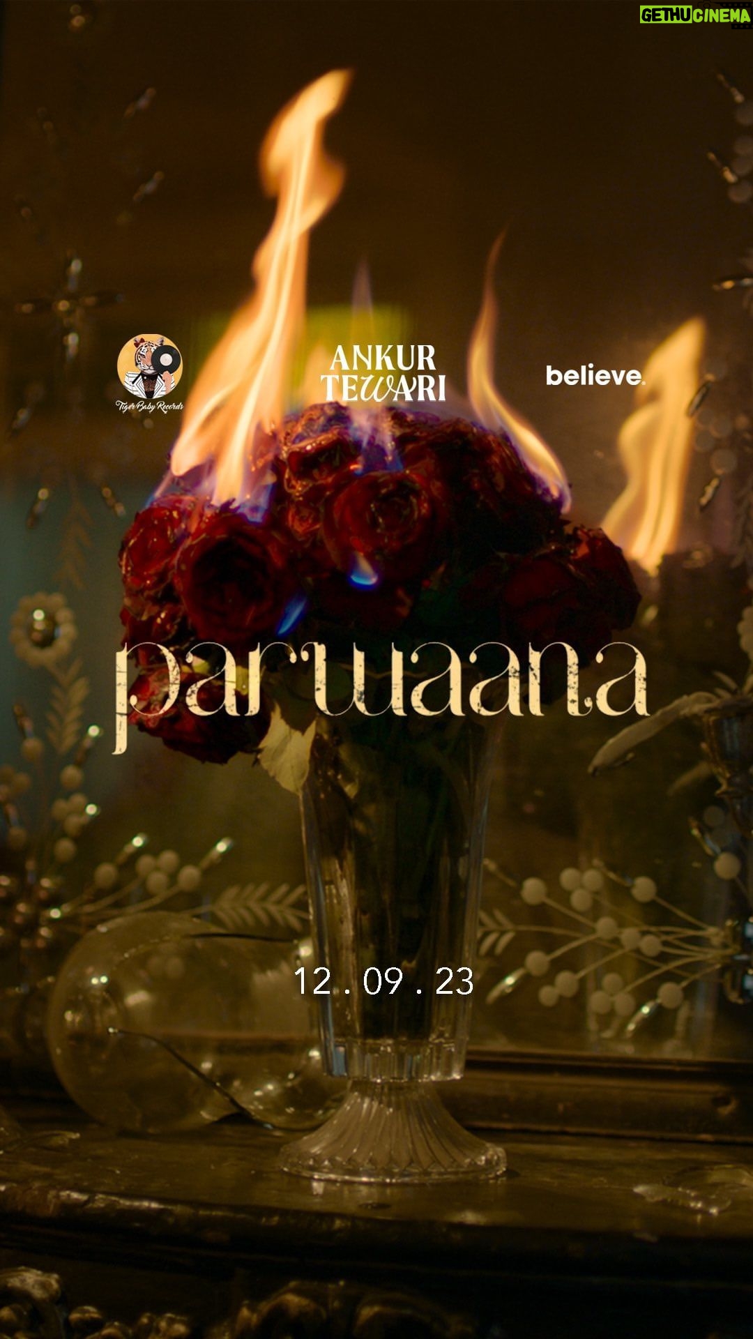 Zoya Akhtar Instagram - Parwaana hun main, Parwaah na mujhe. 12.09.2023 Video out tomorrow. @tigerbabyrecords @ghalatfamily @misfitsinc @believeasd @theprodro @salvageaudiocollective @reemakagti1 @ankurtewari @angaddevsingh_ @madeinheaventv @shobhita_dhulipala @arjun__mathur @mallikajune @yoshita.bhaskar @siddhant.shetty_ @yogisankotra @jahnavigaba @thesubaya @kinchitdesai16 @varunsaraswat @ankurs_10 @houseofqissa @hotchocolateandcroissant @devikasardana @ @druvaman @sak_shittt @rajivrsh84 @maanyaareddy @bablu.madheshiya.79230 @light_craft_and_sound @redchillies.color @gautam2381