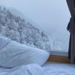 Aanchal Khurana Instagram - Step out of the city’s life and fall into the pristine air of Manali. Book your escape today! THE ORCHID, BOUTIQUE ECOTEL RESORT, Shuru, Naggar Raod, Manali, Himachal Pradesh. Contact :- 9317222401 . . . #theorchidhotelmanali #manali #sissu #himachal #mountainretreat #hotelsinmanali #explore #travelblogger #fashionblogger #foodie #foodphotography #photography #aanchalkhurana #gratitude