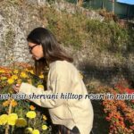 Aanchal Khurana Instagram – One of the finest resort in Nainital @shervanihilltop 

.

.

.

.

.

.

.

.

.

.

#explore #explorepage #nainital #uttarakhand #tourism #travelwithme #viralreels #reels #viral #shervanihilltop #aanchalkhurana #collabration #hotel #nainitaltourism #uttarkhandtourism #likes4like #viralreels