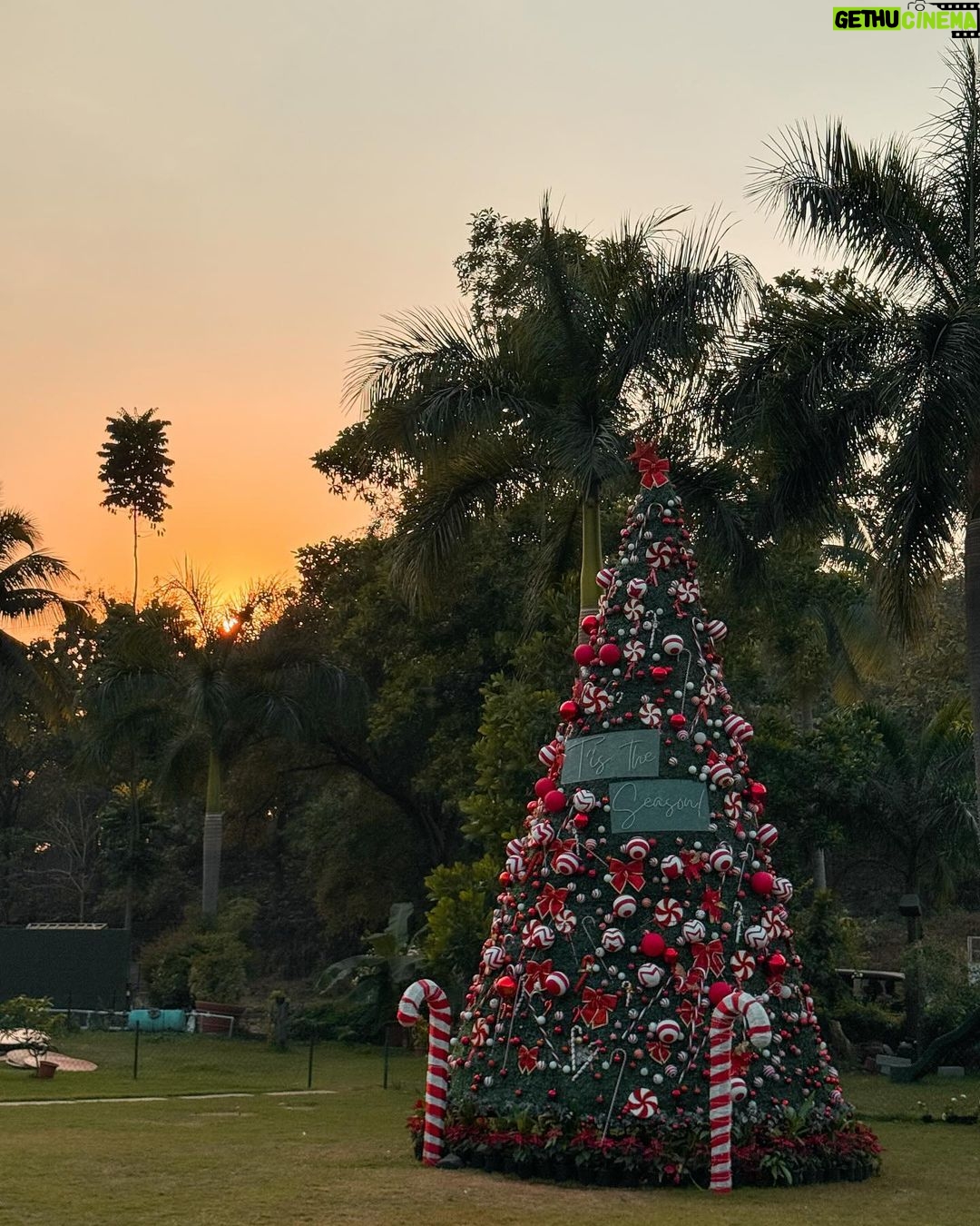 Aashna Shroff Instagram - The most beautiful start to the year with impeccable food, yum picantes and the perfect sunset. Thank you for having us @salttkarjat ✨ Saltt Restaurant & Bar