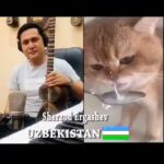 Abdel Aziz El Sayegh Instagram – مو صج القطو شنو سوى فنان
❤️😍
