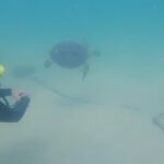 Abdel Aziz El Sayegh Instagram – تحيا فلسطين 🇵🇸 
اما بعد .. 

@diving_arts_center 
Try scuba diving trips 
Fun dive trips 
Snorkelling trips 
Diving courses 
Swimming training 
From 9 years for diving 
Private courses 
200kd for courses 
35kd fun dive trips
55kd try scuba diving 
DM for more details 
رحلات تجربة الغوص 
غوص ترفيهي 
رحلات سنوركل 
دورات غوص 
تدريب سباحه 
اقل عمر للغوص ٩سنوات 
جميع الدورات برايڤت 
يوجد مدربات 
قيمة الدورة 200دك
قيمة الرحلة مع ليسن غوص 35 دك
قيمة تجربة الغوص 55دك
دايركت مسج للمزيد من الاستفسار
69966680