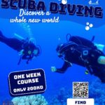 Abdel Aziz El Sayegh Instagram - @diving_arts_center Try scuba diving trips Fun dive trips Snorkelling trips Diving courses Swimming training From 9 years for diving Private courses 200kd for courses 35kd fun dive trips 55kd try scuba diving DM for more details رحلات تجربة الغوص رحلات غوص ترفيهي رحلات سنوركل دورات غوص تدريب سباحه اقل عمر للغوص ٩سنوات جميع الدورات برايڤت يوجد مدربات قيمة الدورة 200دك قيمة الرحلة مع ليسن غوص 35 دك قيمة تجربة الغوص 55دك دايركت مسج للمزيد من الاستفسار 69966680