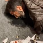 Abdel Aziz El Sayegh Instagram - هذا اللي صار فيني الله فوق كل ظالم